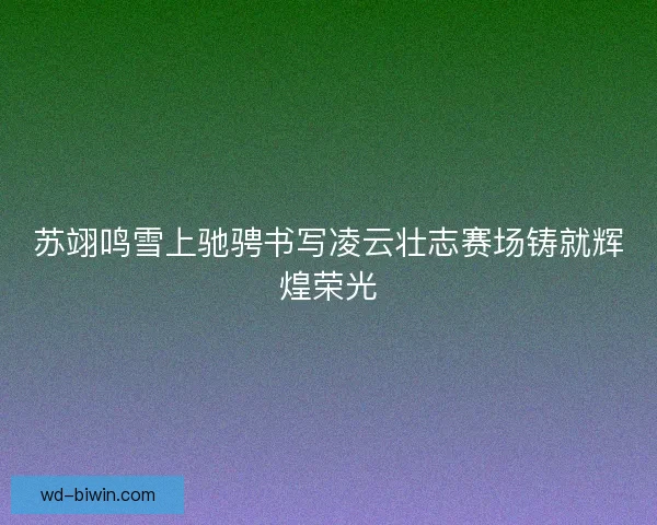 苏翊鸣雪上驰骋书写凌云壮志赛场铸就辉煌荣光