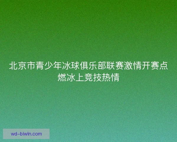 北京市青少年冰球俱乐部联赛激情开赛点燃冰上竞技热情
